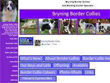 Tablet Screenshot of bryningbordercollies.com